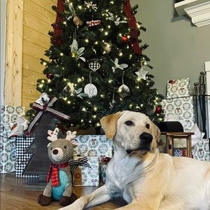 Meet your Posher, Charity